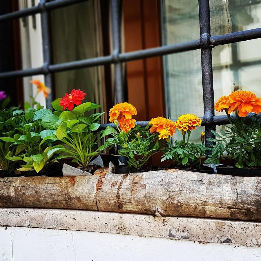 Navona Sweet Home Rome Exterior photo
